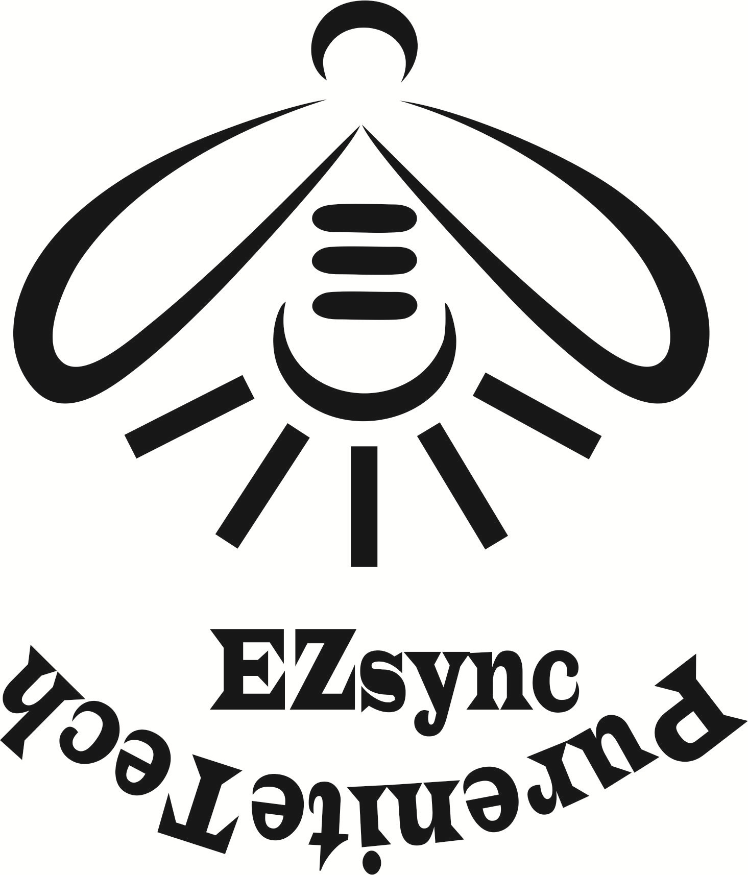EZSync company symbol